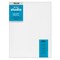 Blick Studio Stretched Cotton Canvas - Gallery Profile, 18" x 24"